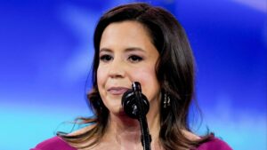 Elise Stefanik Gains Momentum in New York Gubernatorial Race with Broad Local Support